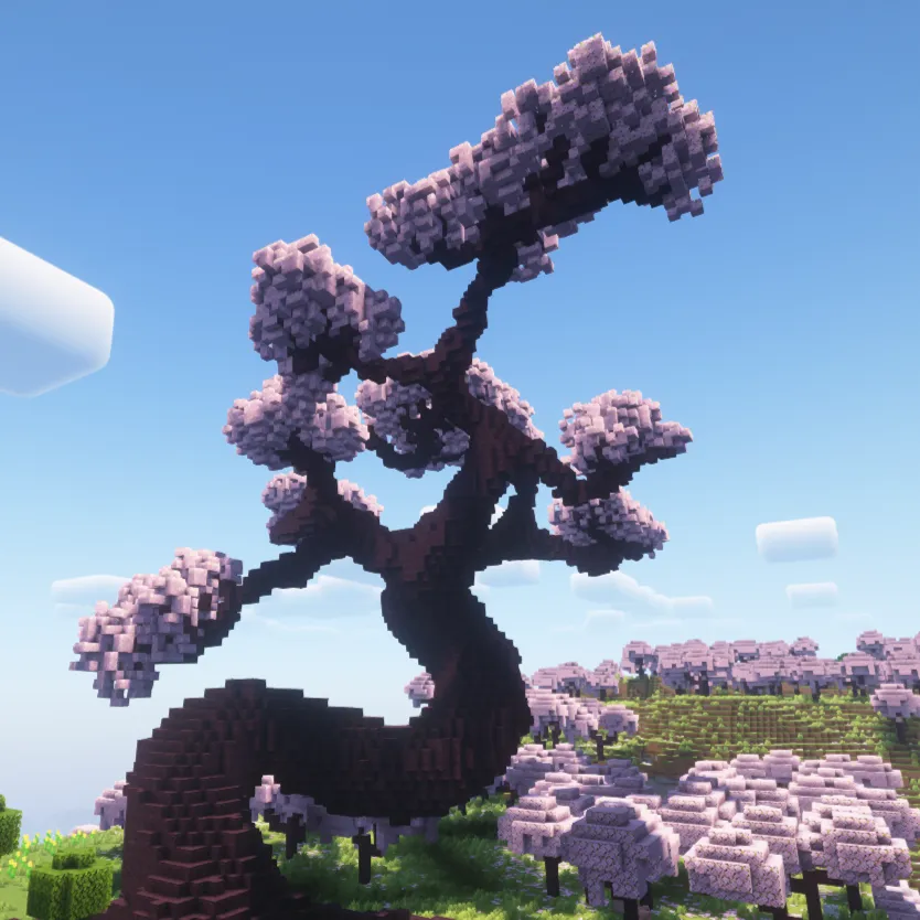 Giant Cherry Blossom Bonsai Tree