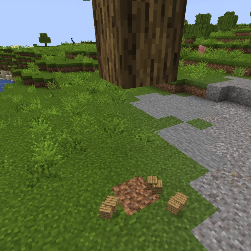 Tree Fortune