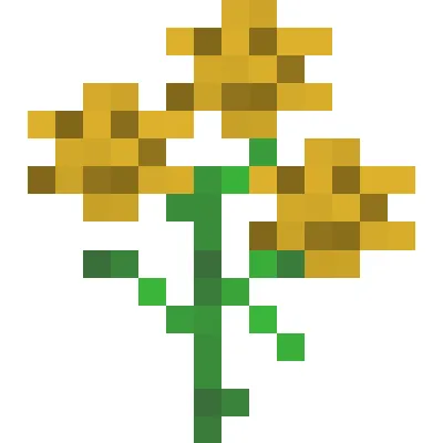 MorePlants