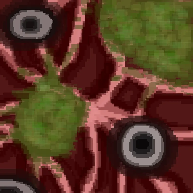 The Found Flesh Infection