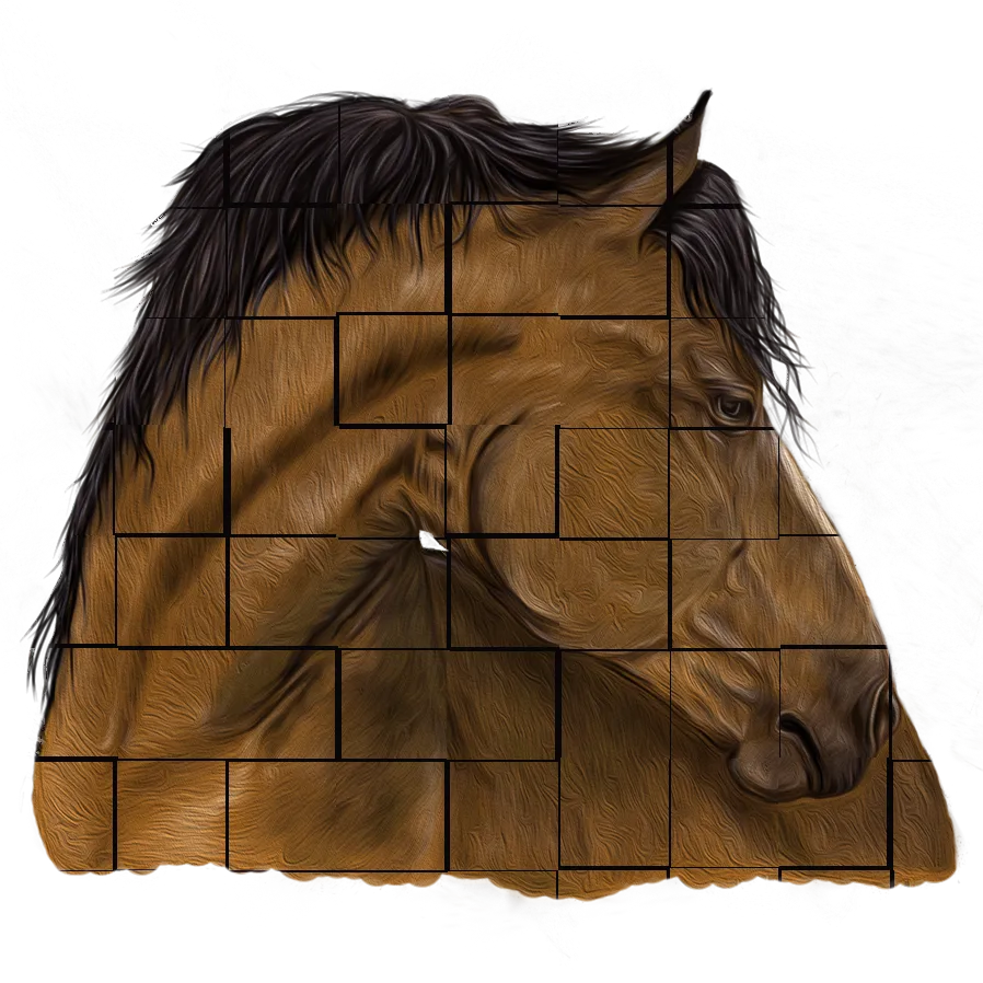 Equine Village