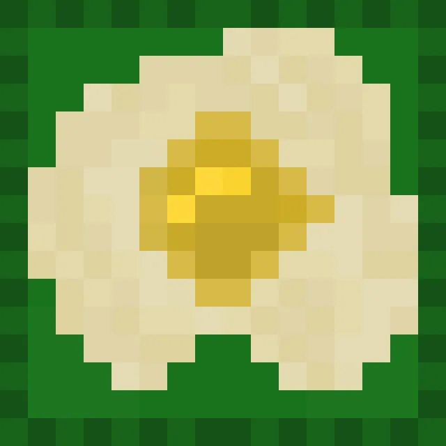 Ammonittt's Fried Egg