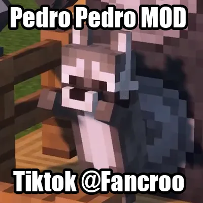 Pedro the raccoon
