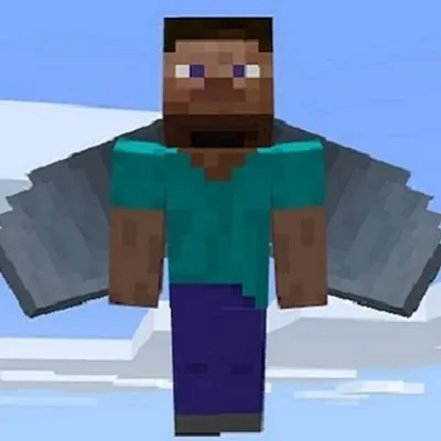 Admin Fly!