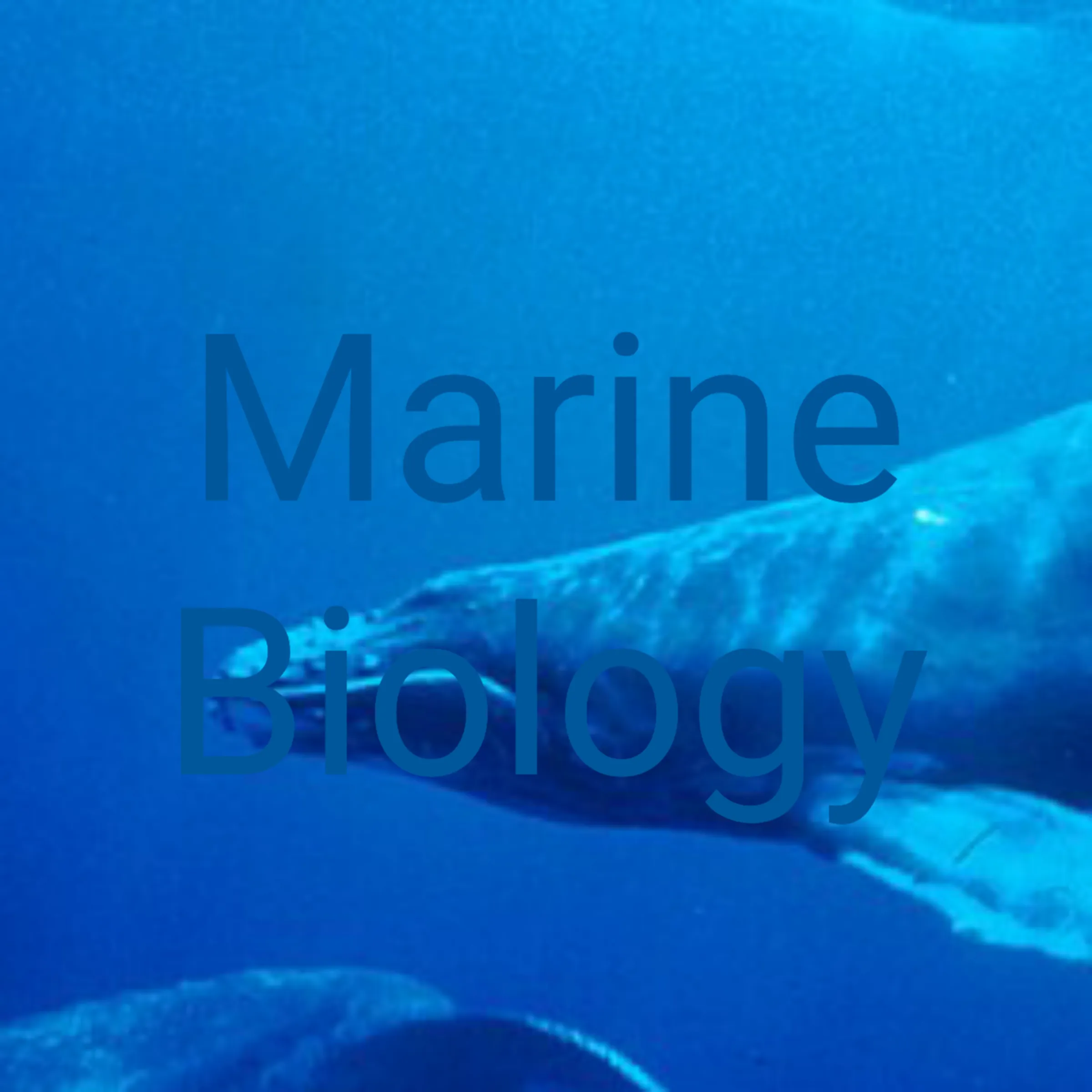 Marine biology