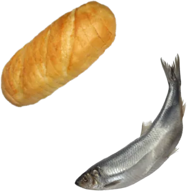 The Breadfish