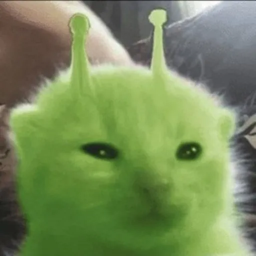 Gloorpling