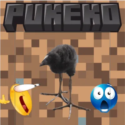 Pukeko (Damn) Bird