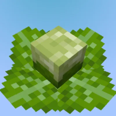 Simple Cabbage