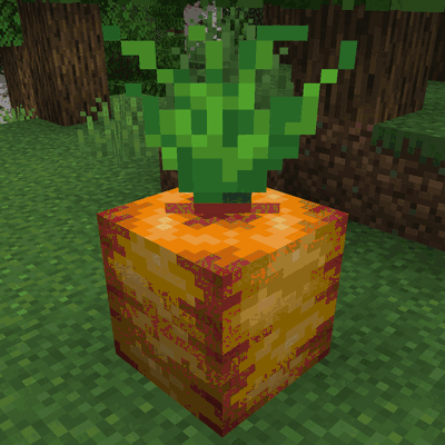 Obese Crops