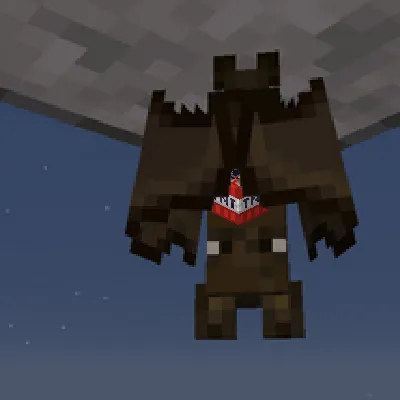 Boom Boom Bats