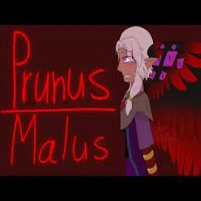 Prunus Malus