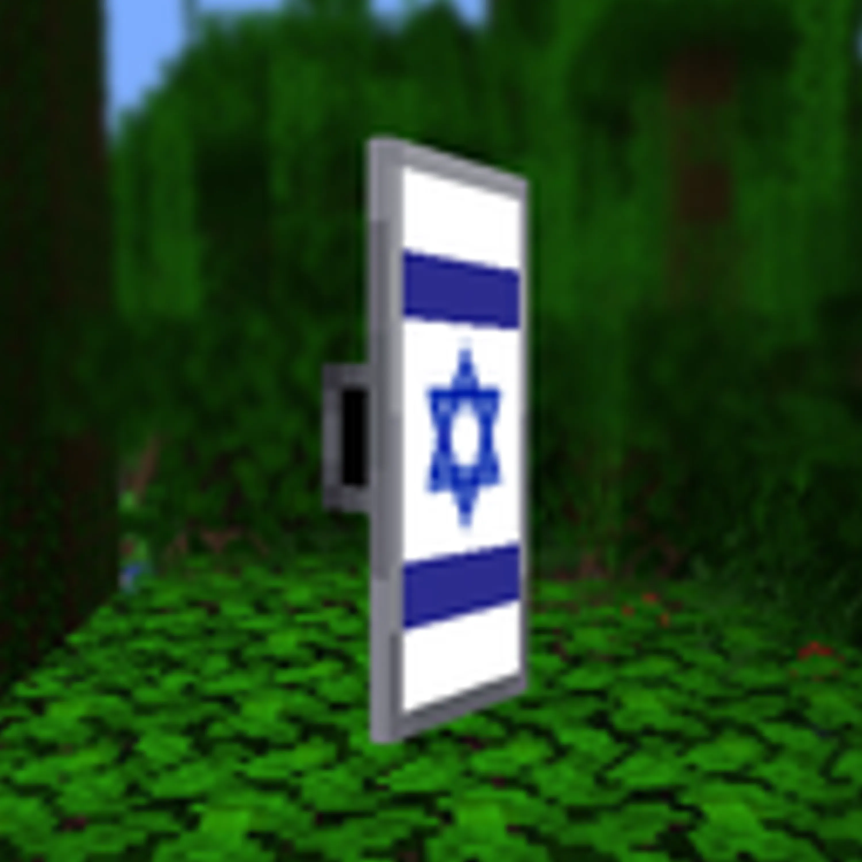 Israeli Shield