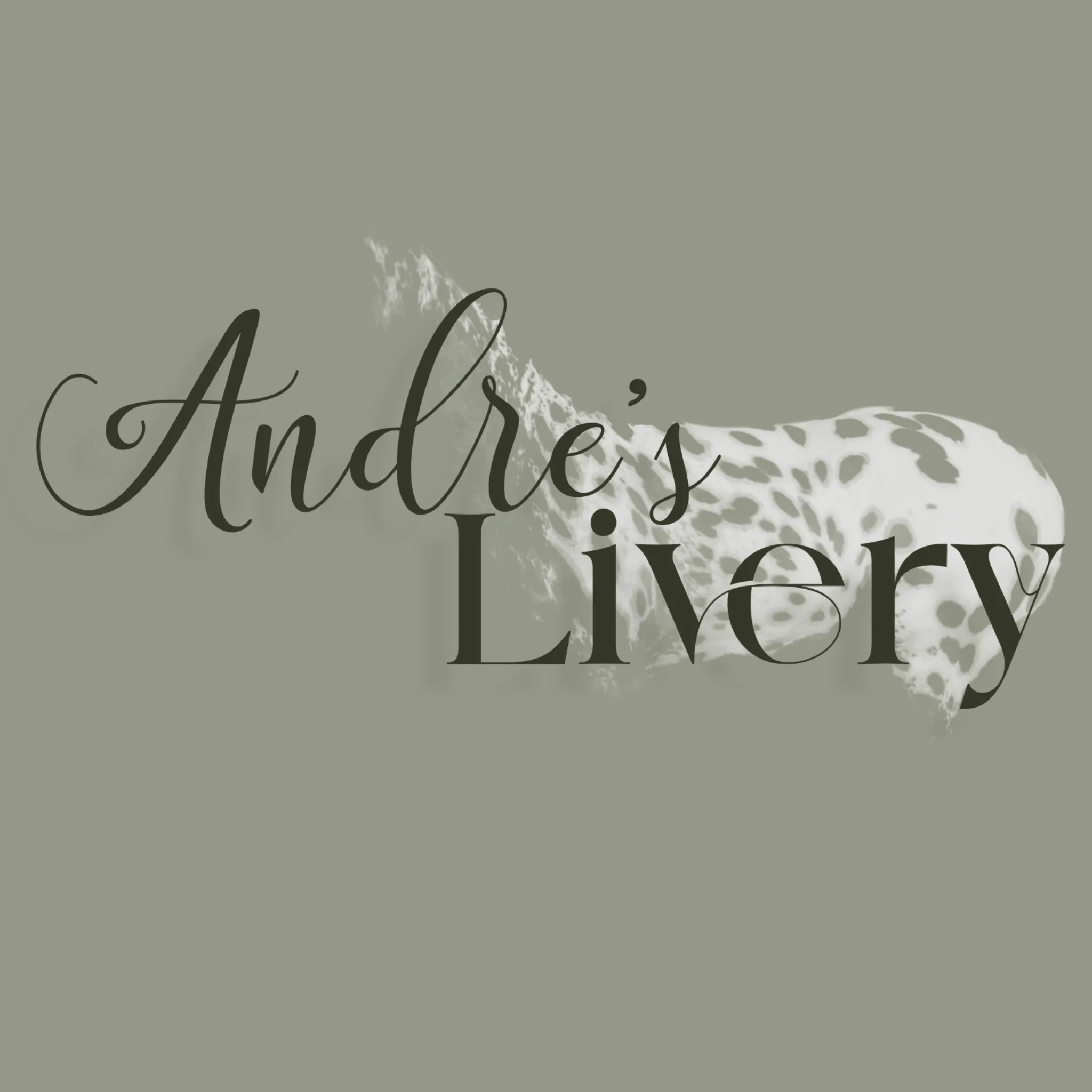 Andre's Livery - A SWEM Addon